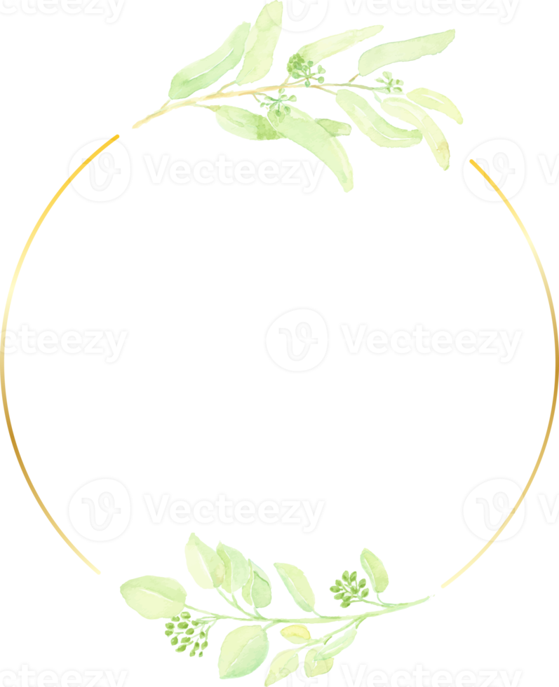aquarell handgezeichnetes gesätes eukalyptusblatt mit goldenem minimalrahmen png