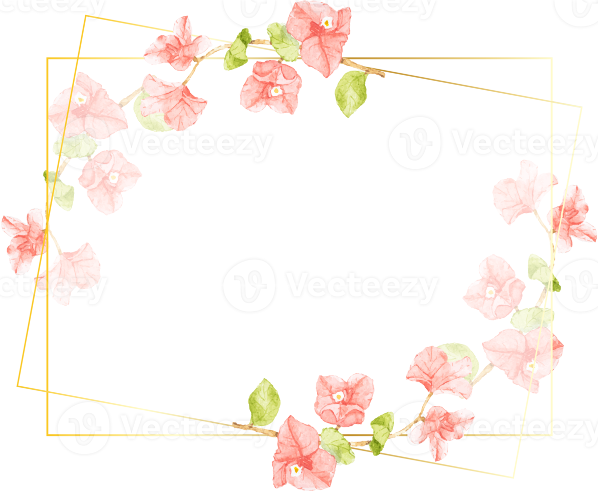 watercolor pink Bougainvillea with golden wreath frame with copy space png