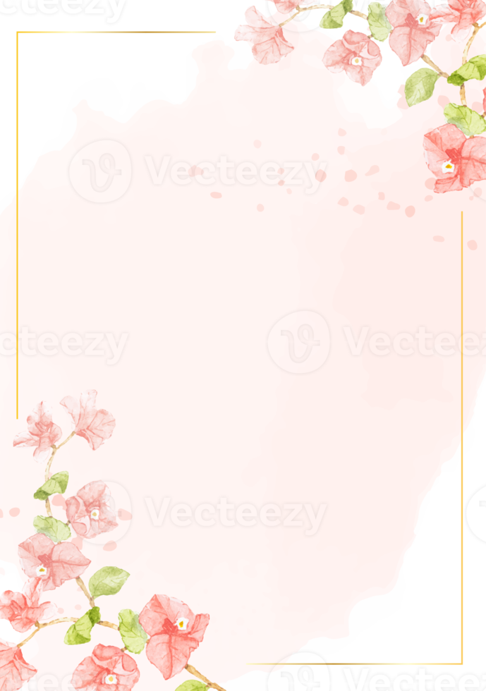 watercolor pink Bougainvillea with golden frame for wedding or birthday invitation card png