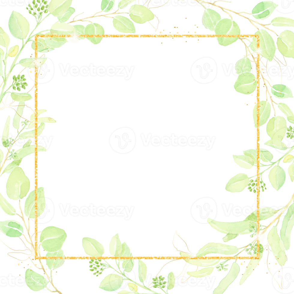 feuille d'eucalyptus ensemencée dessinée à la main aquarelle avec fond de bannière carrée cadre paillettes d'or png