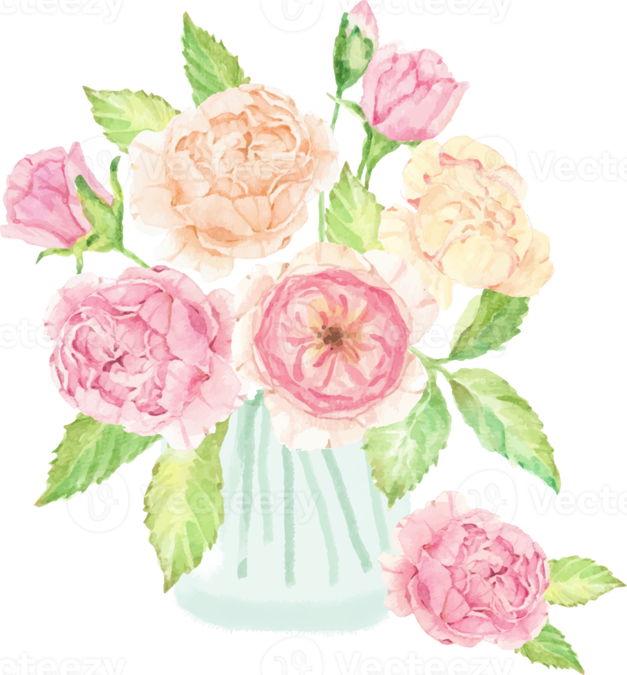 watercolor hand drawn pink English rose bouquet in glass png