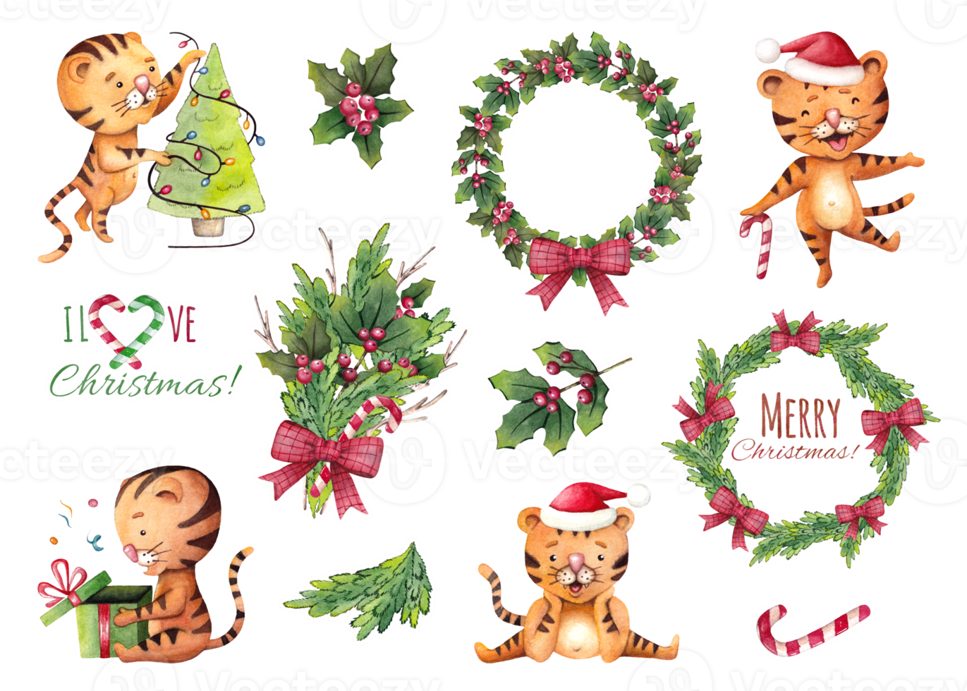 Watercolor set of stickers for New Year and Christmas with tigers, wreaths and fir branches. Congratulations on the winter holiday png