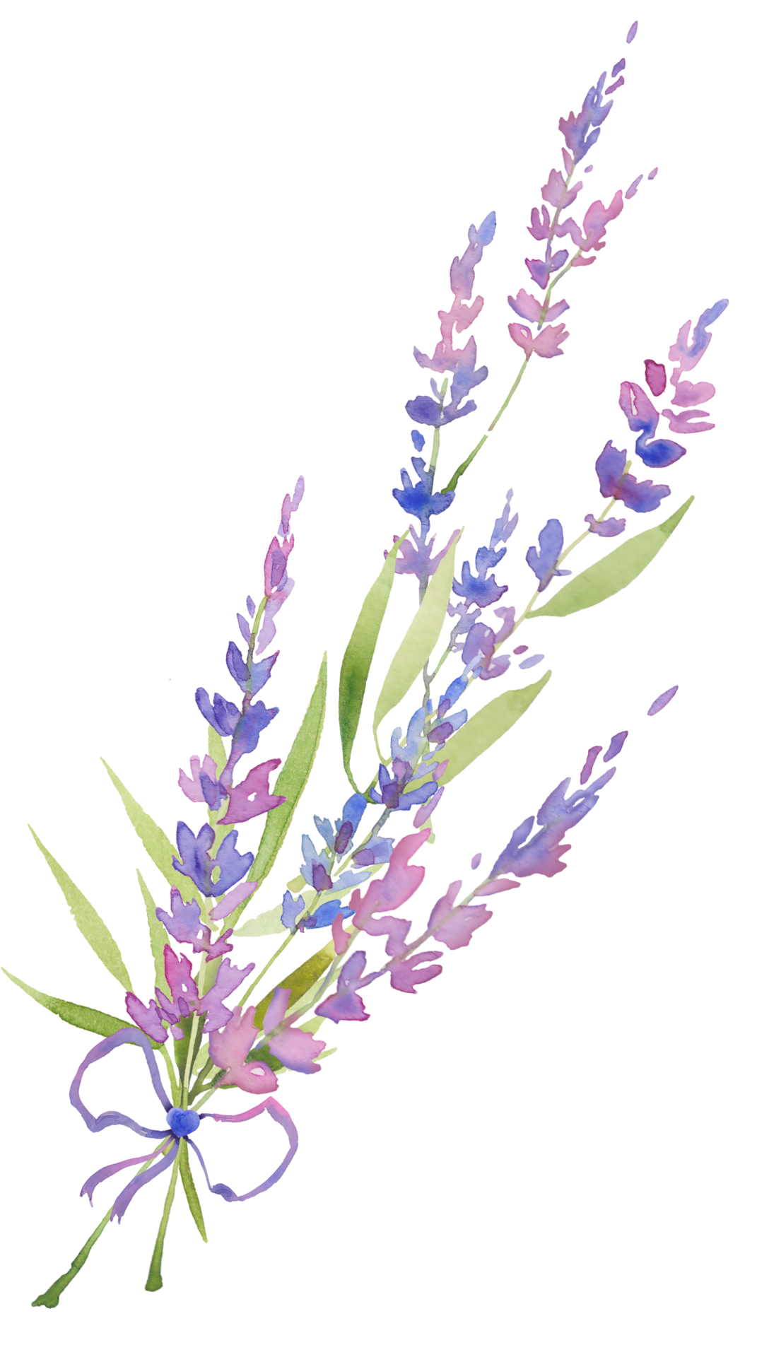 Lavender Flower PNG Free Images with Transparent Background - (290 Free  Downloads)