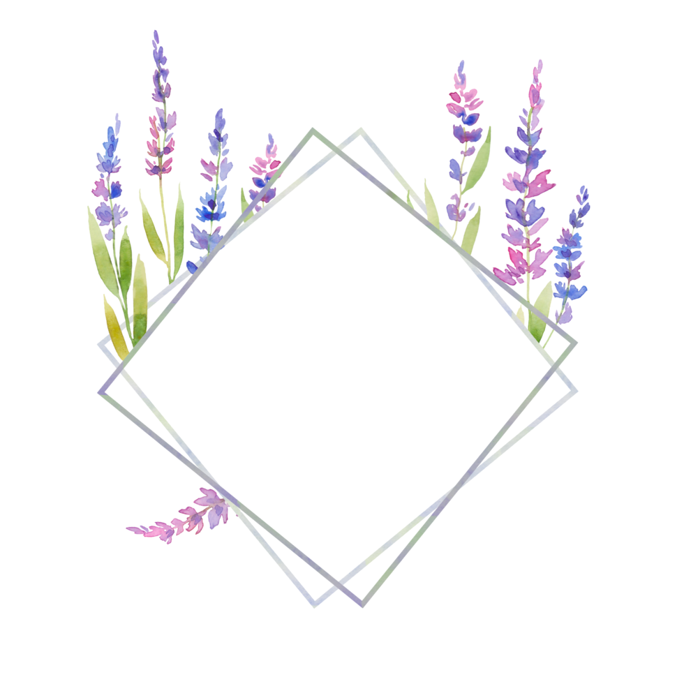 Watercolor lavender frame of flowers. floral provencal style design . Hand drawn field flowers  isolated on white background. png