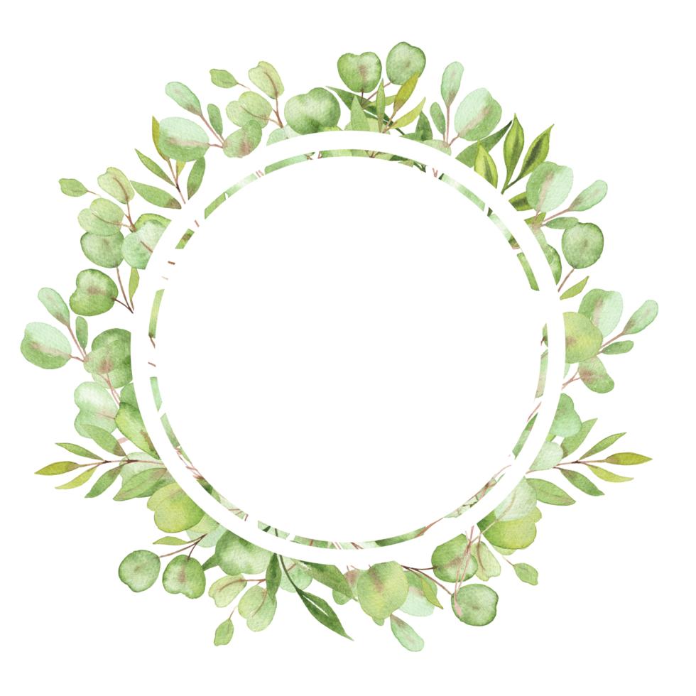 cadre d'illustration aquarelle avec feuilles et verdure d'eucalyptus png