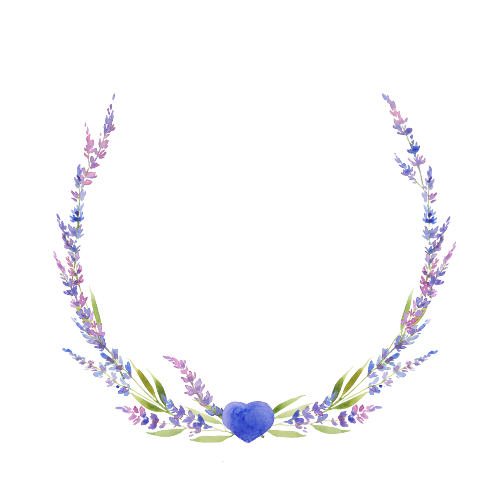 corona de flores de lavanda acuarela, círculo. diseño floral de estilo provenzal. flores de campo dibujadas a mano aisladas sobre fondo blanco. diseño floral png