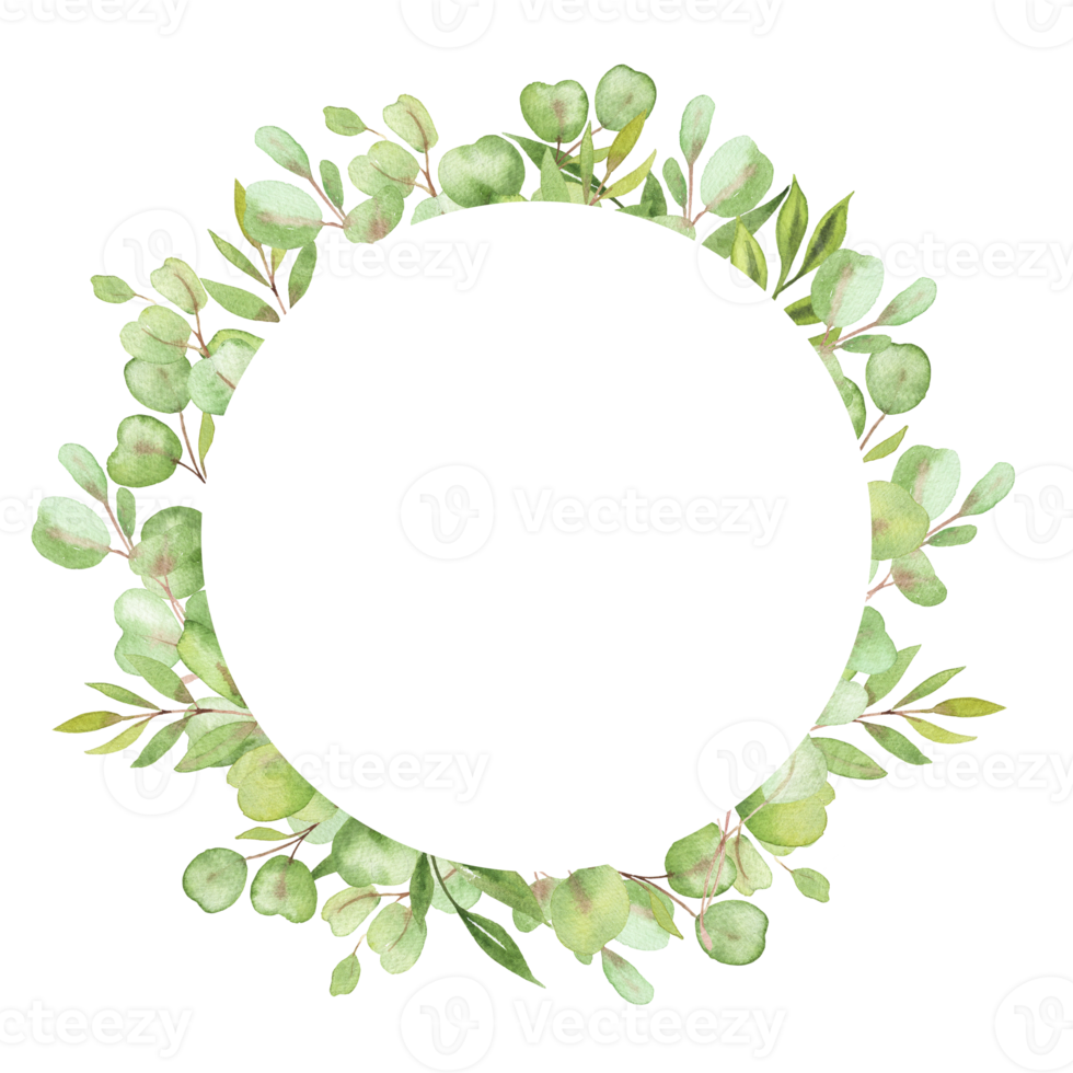 watercolor illustration frame with leaves and greenery of eucalyptus png