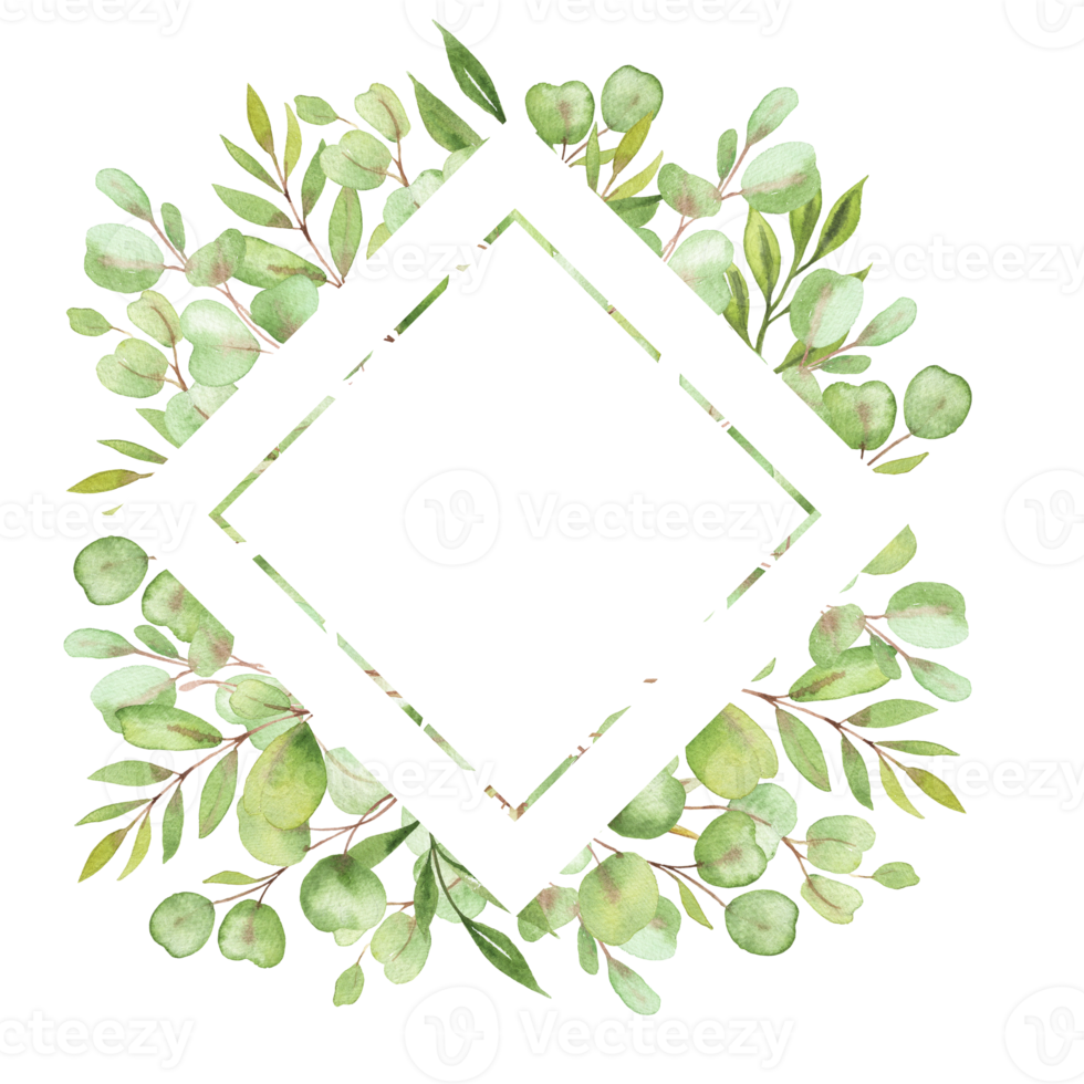 cadre d'illustration aquarelle avec feuilles et verdure d'eucalyptus png