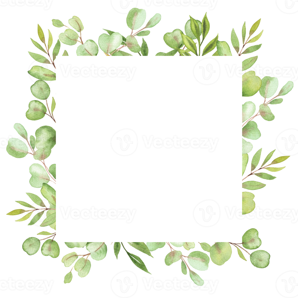 cadre d'illustration aquarelle avec feuilles et verdure d'eucalyptus png