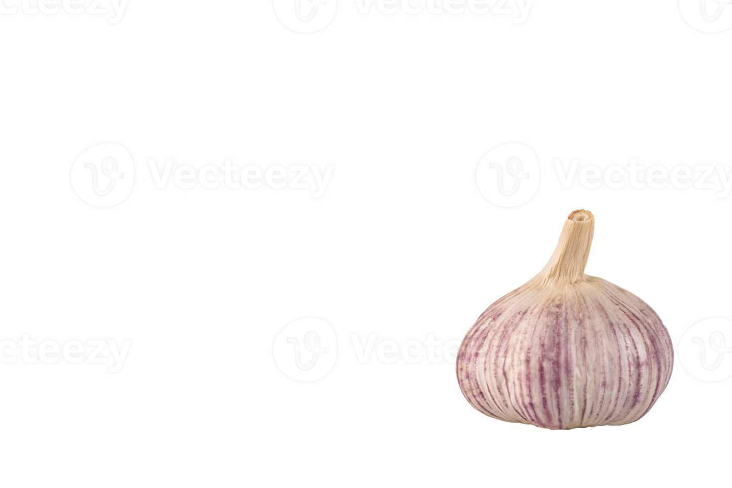 Garlic, one head of garlic on a transparent background. PNG