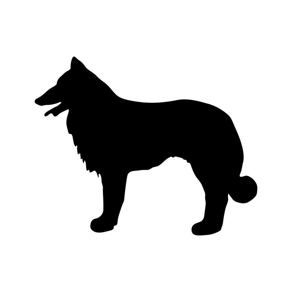 Collie. Black silhouette of a dog on a white background. Vector illustration