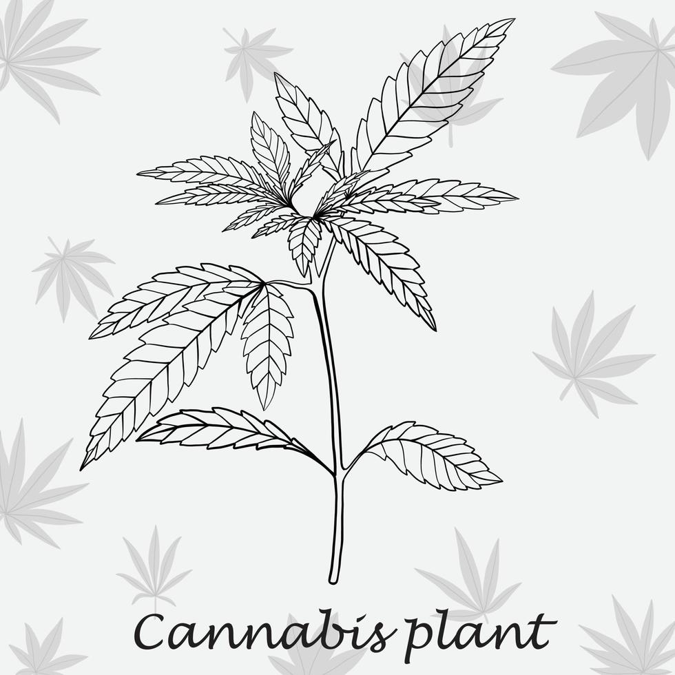 simplicidad planta de cannabis dibujo a mano alzada diseño plano. vector