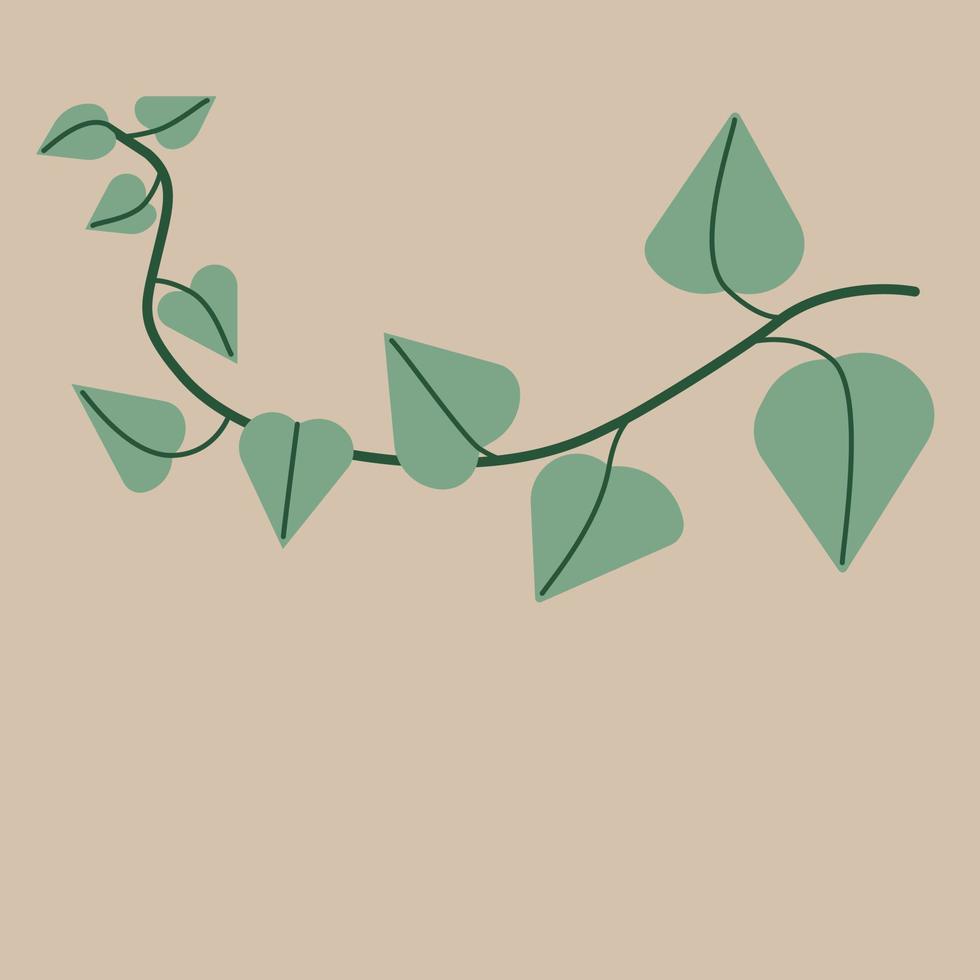 Simplicity ivy drawing flat design. vector