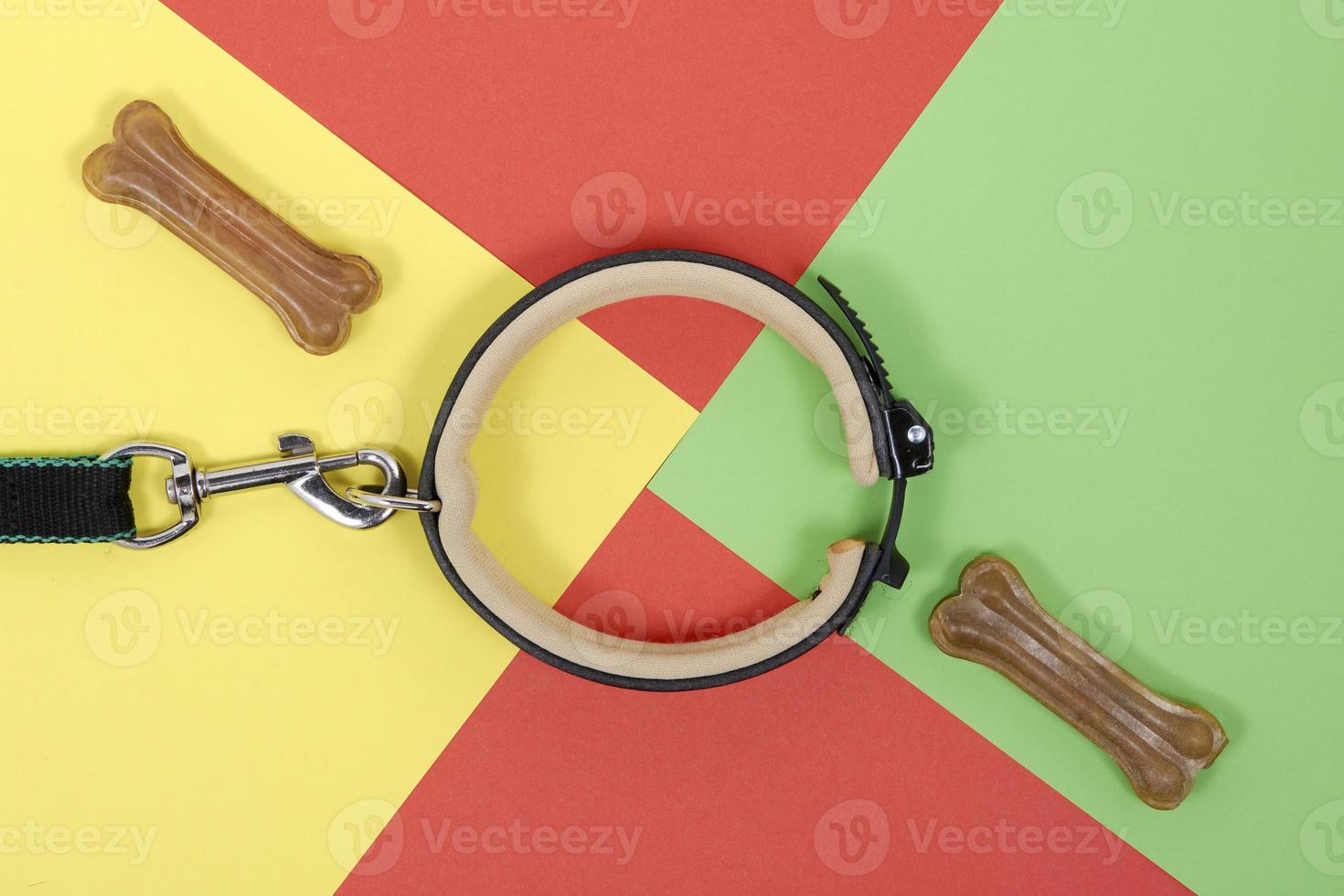 Accessories for Pets. Treat, collar, leash on a red yellow green background photo