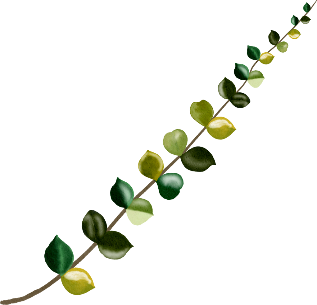 watercolour branches leaf png