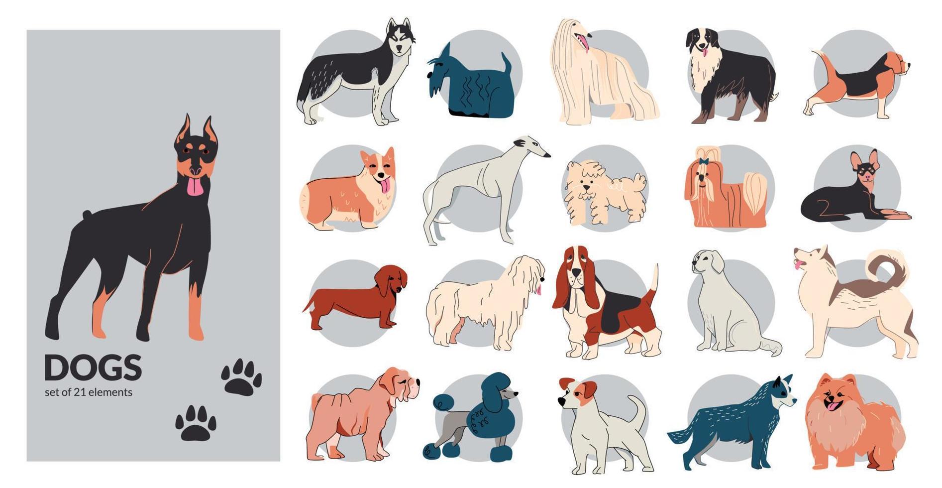 colección de esquemas de dibujo de perros vector