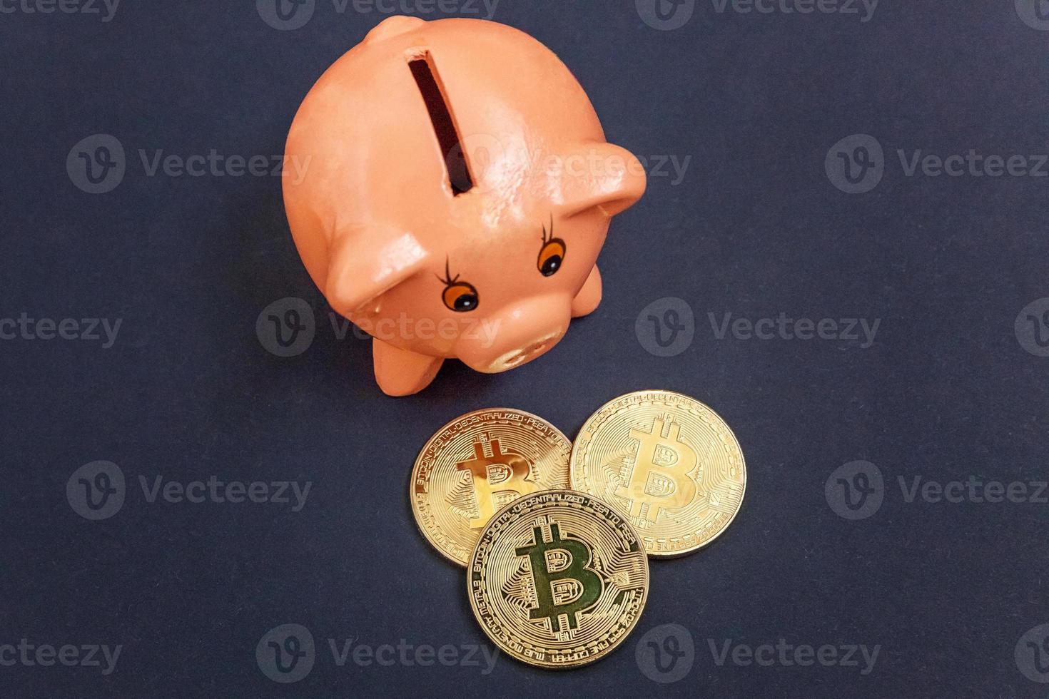 Pièce De Monnaie Virtuelle Bitcoin Avec Un Logo Jaune Dans Les Cases Des  Tirelires Piggy Bank Cochon Avec Une Pinte De Dollar US, Photo stock -  Image du finances, exploitation: 161346660