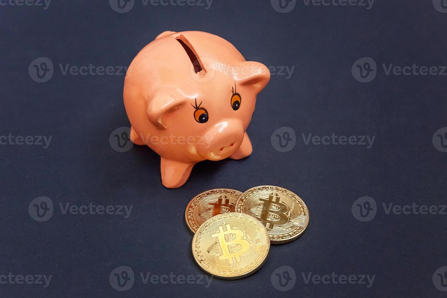 Pièce De Monnaie Virtuelle Bitcoin Avec Un Logo Jaune Dans Les Cases Des  Tirelires Piggy Bank Cochon Avec Une Pinte De Dollar US, Photo stock -  Image du finances, exploitation: 161346660