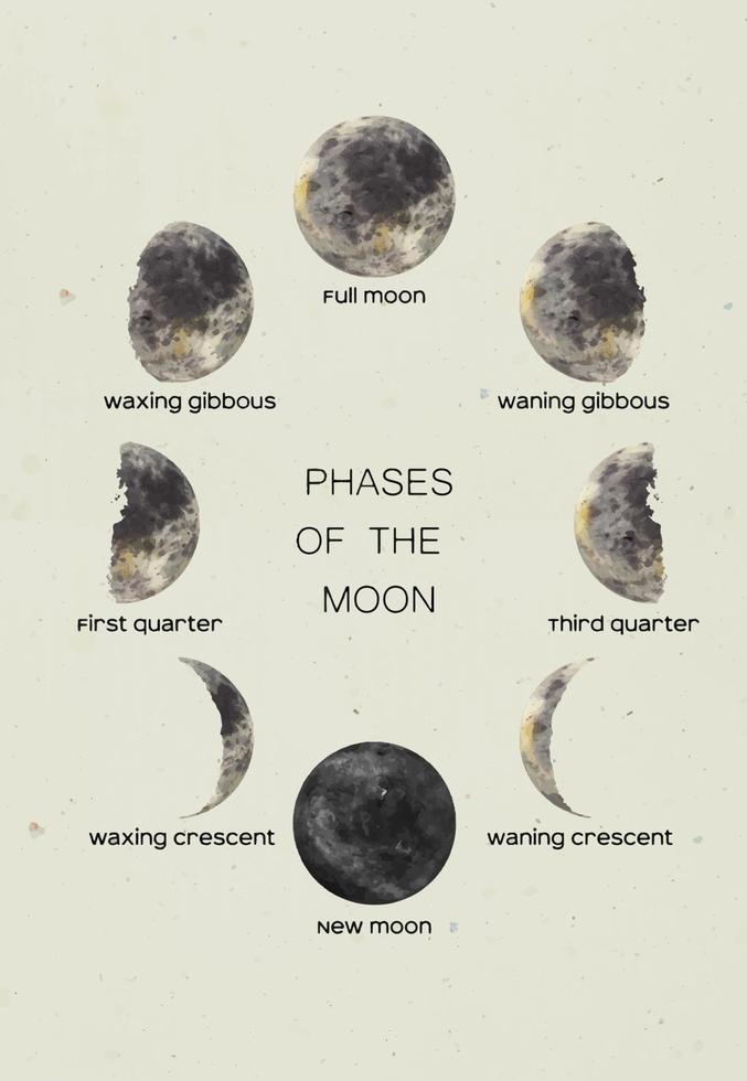 Watercolor moon in all its phases with letterings. New Moon, First Quarter, Third Quarter, Full Moon, Crescent phases vector