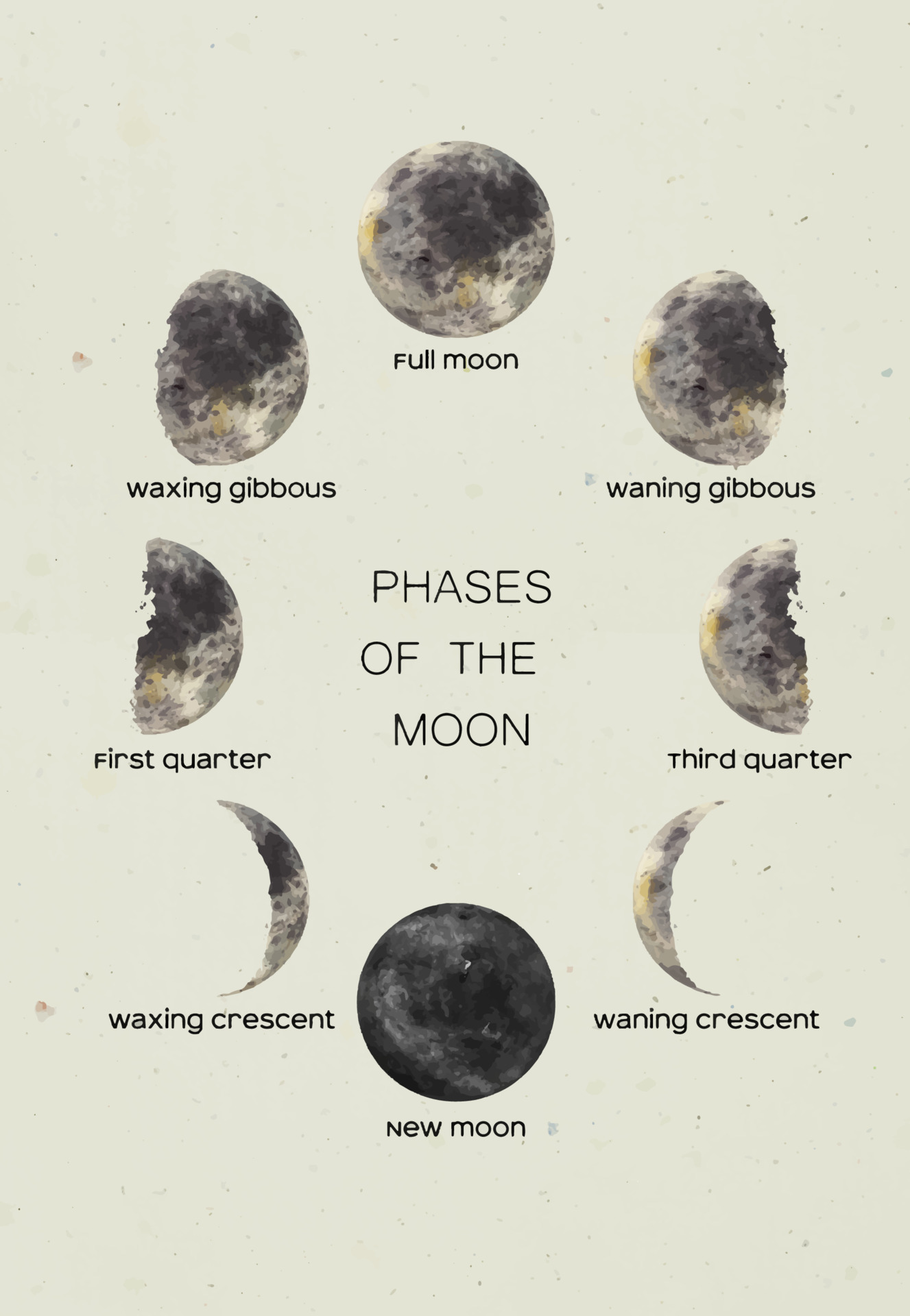 Watercolor moon in all its phases with letterings New Moon First