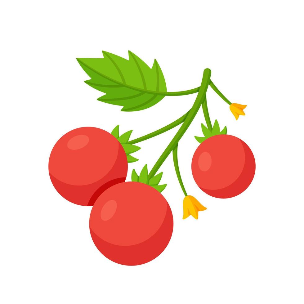 una ramita de tomates rojos sobre un fondo blanco. vector