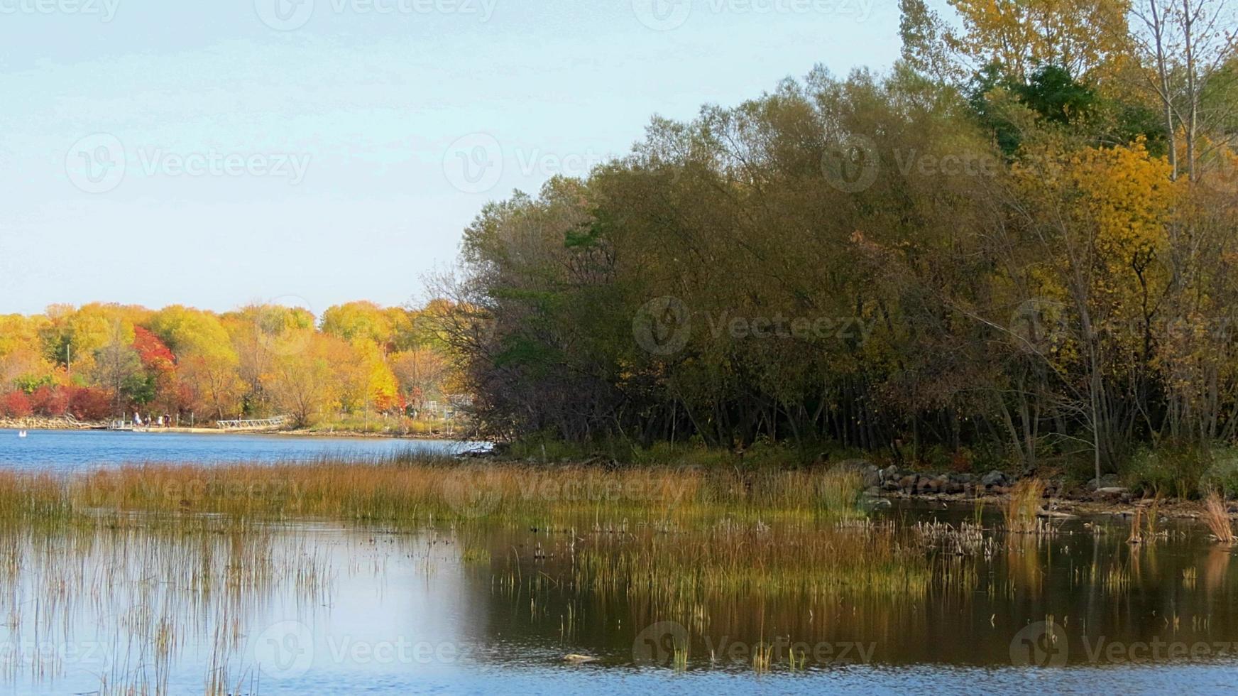 Fall Marsh North photo