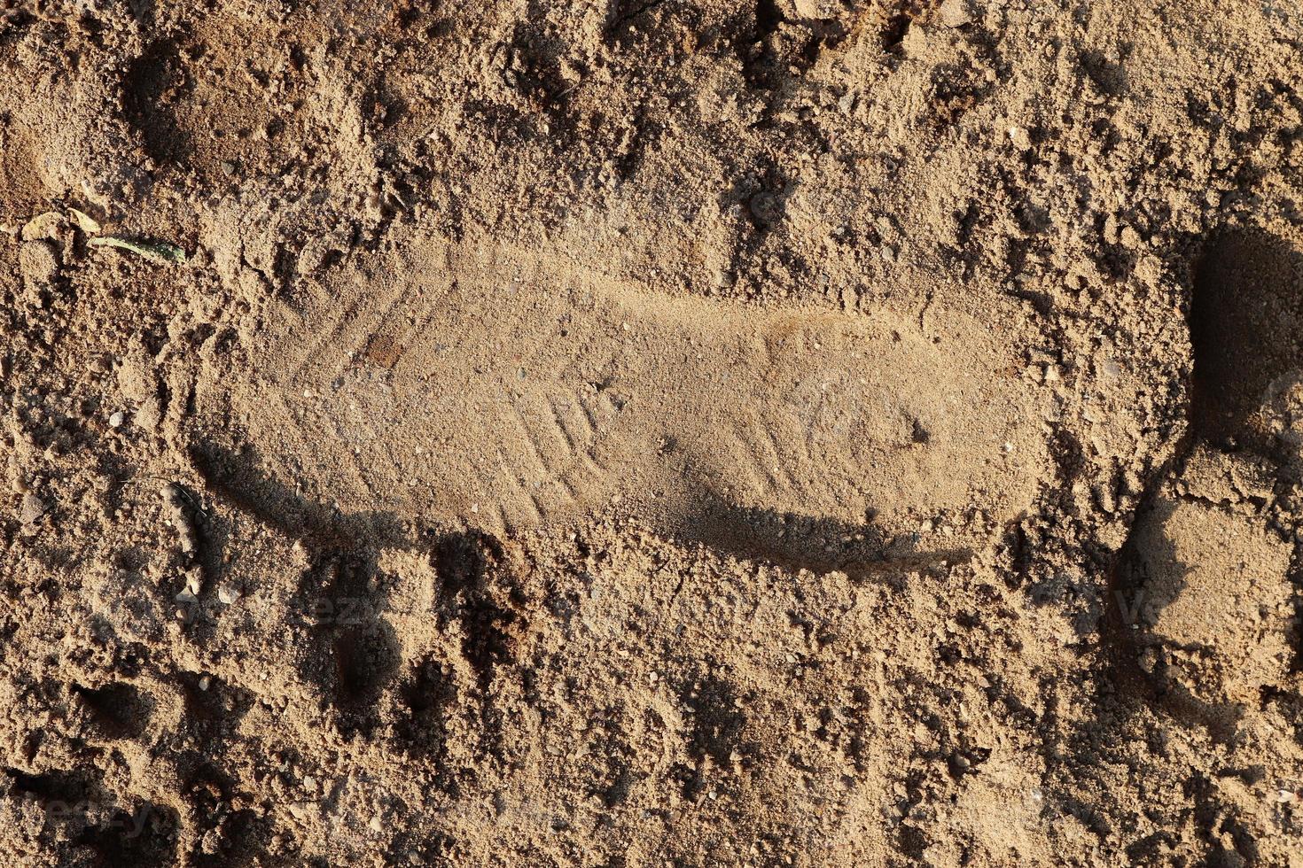 vista de cerca detallada sobre una textura de suelo de arena marrón foto