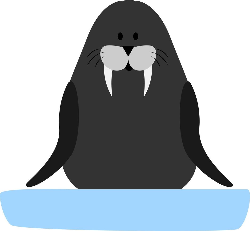 Walrus on ice, illustration, vector on white background.