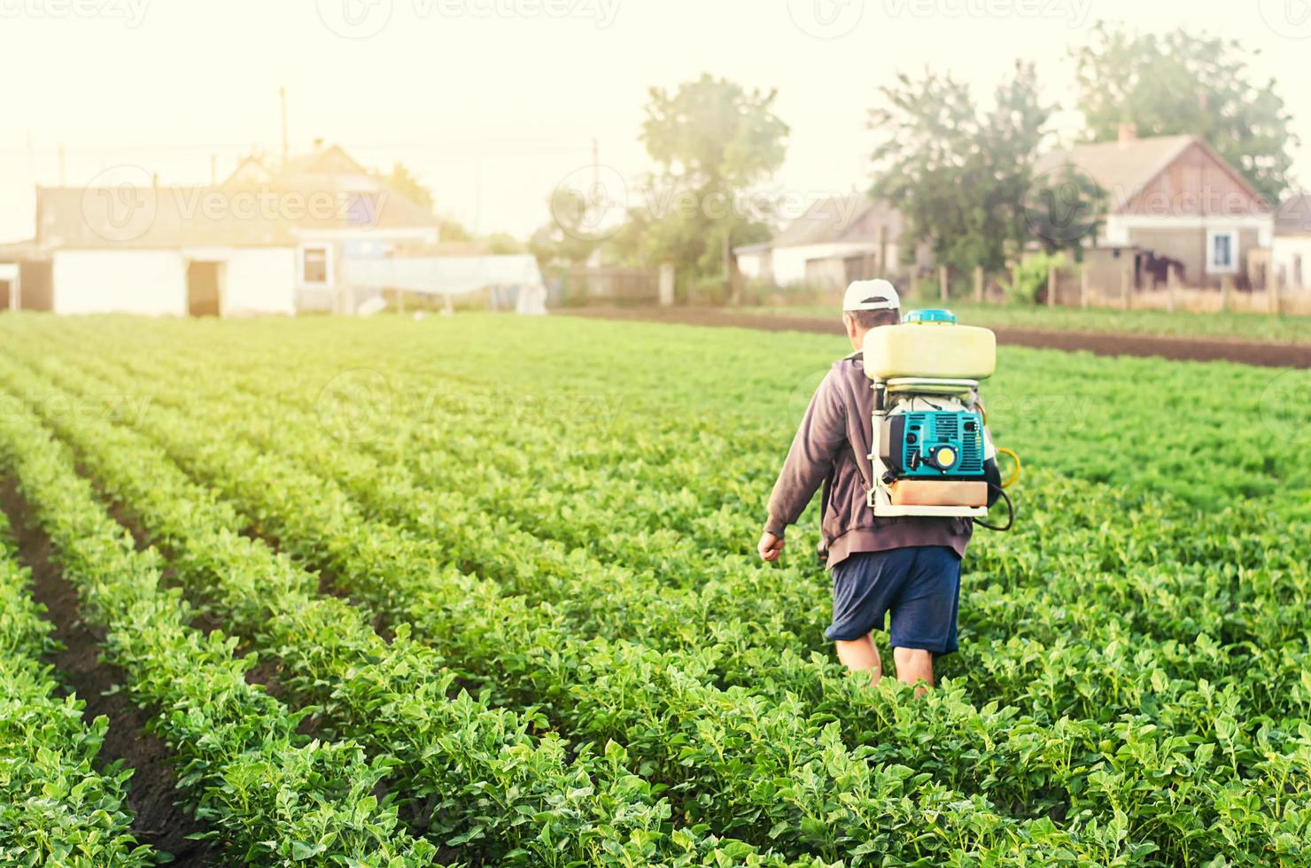 un agricultor con un rociador camina por la plantación de patatas. tratamiento del campo agrícola contra plagas de insectos e infecciones fúngicas. utilizar productos químicos en la agricultura. agricultura y agroindustria foto