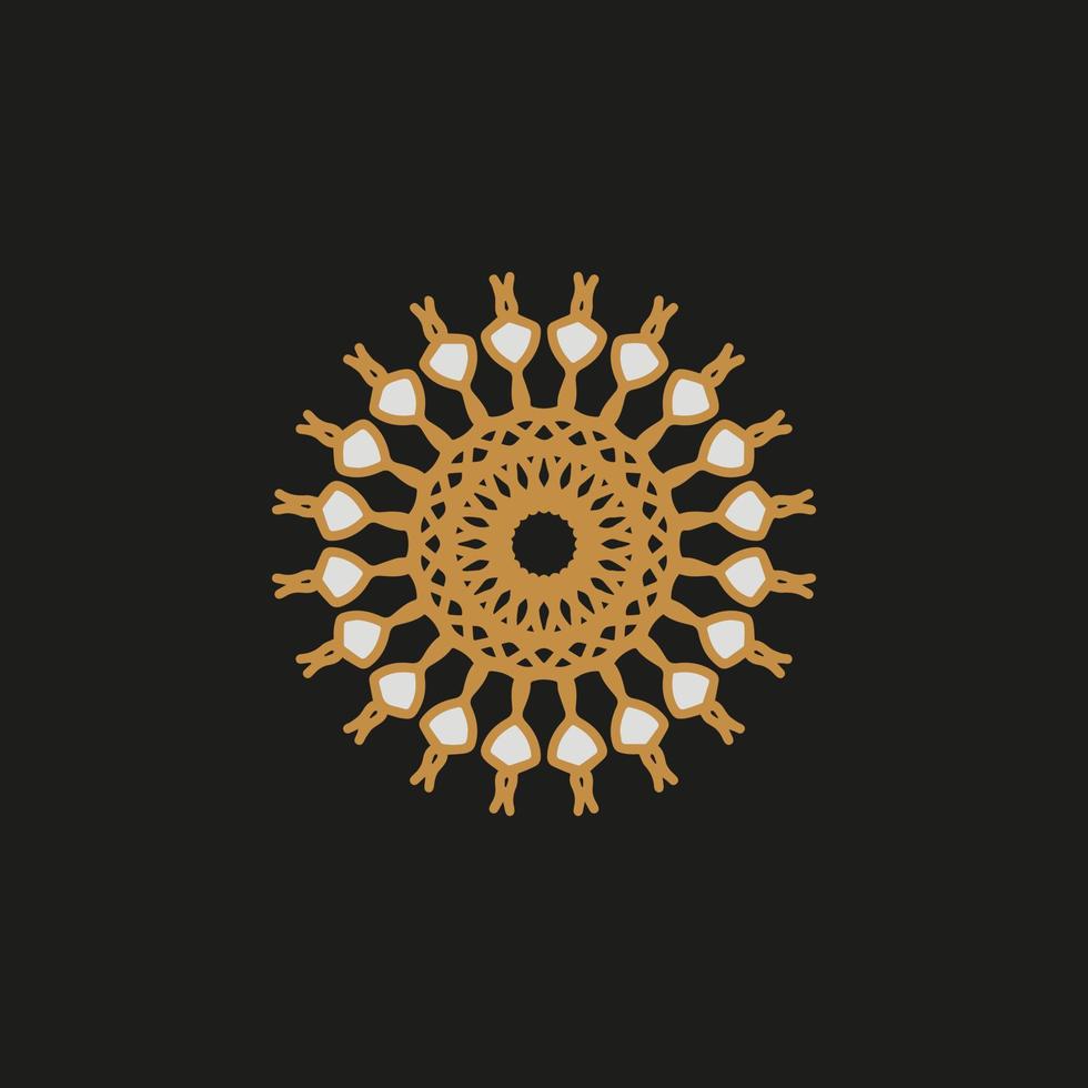 mandala design with abstract shape vector