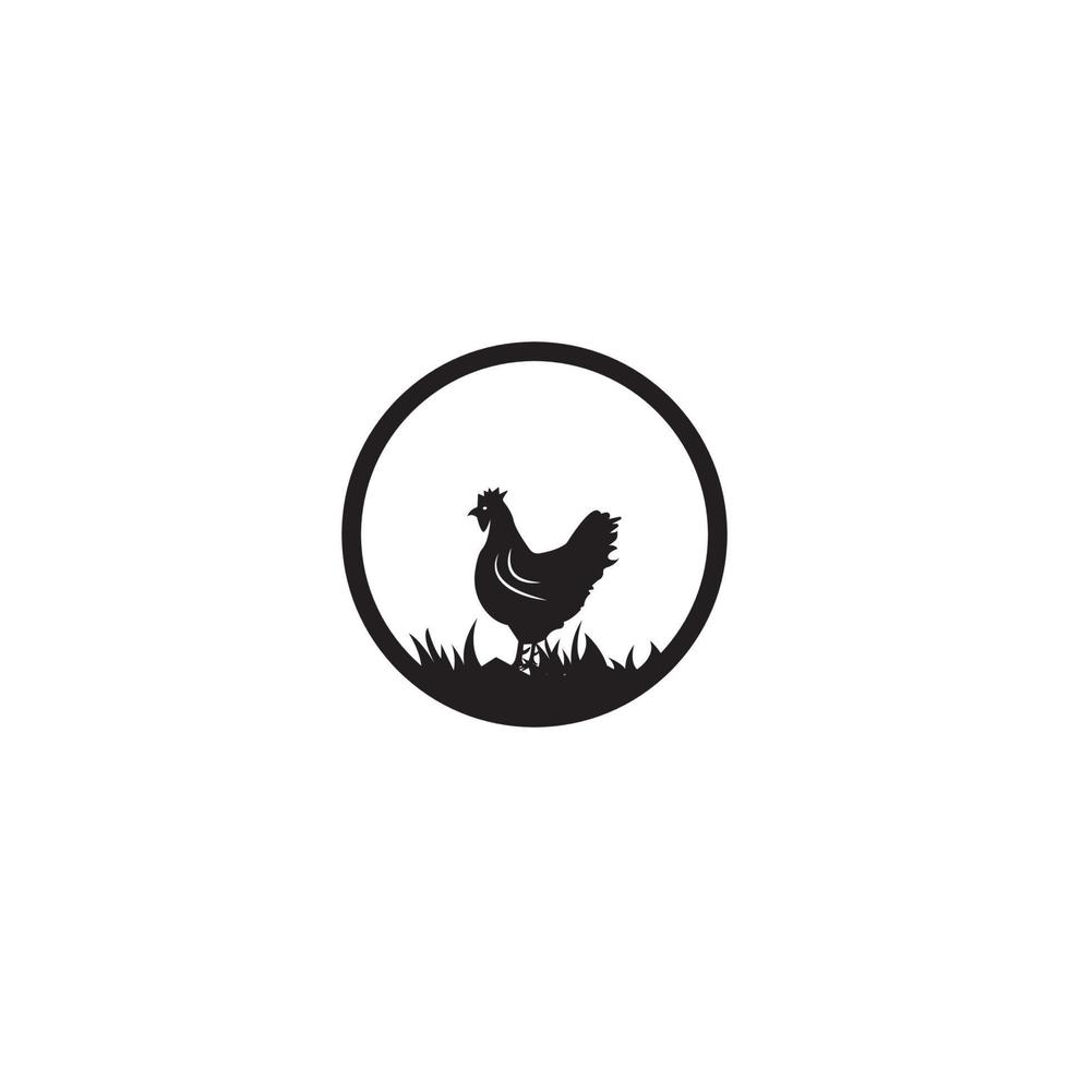 imagen vectorial de un pollo, ilustración de icono de plantilla de logotipo vector