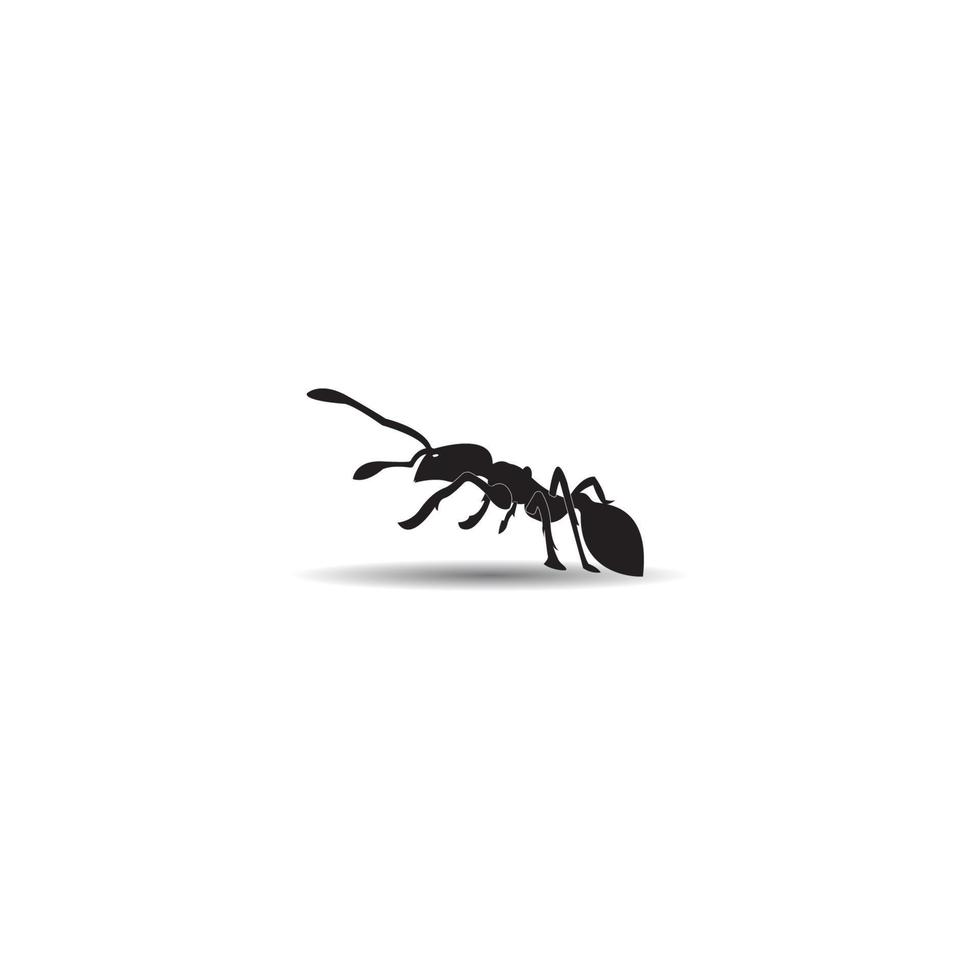 Ant Logo template vector illustration