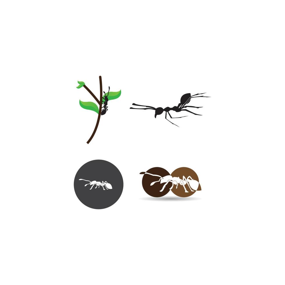 Ant Logo template vector illustration