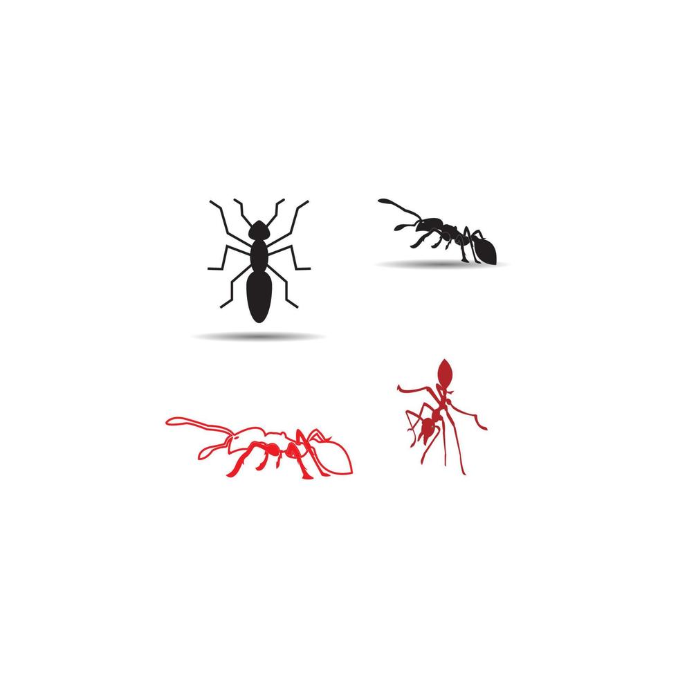 Ant Logo template vector illustration