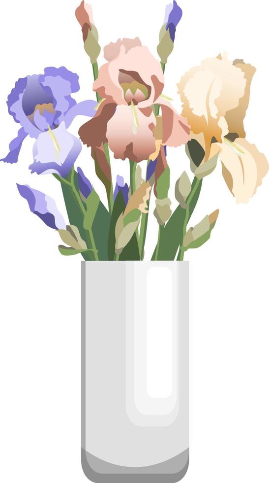 Bunch of blue, pink and yellow irises in tall white ceramic vase. Isolated on white background vector