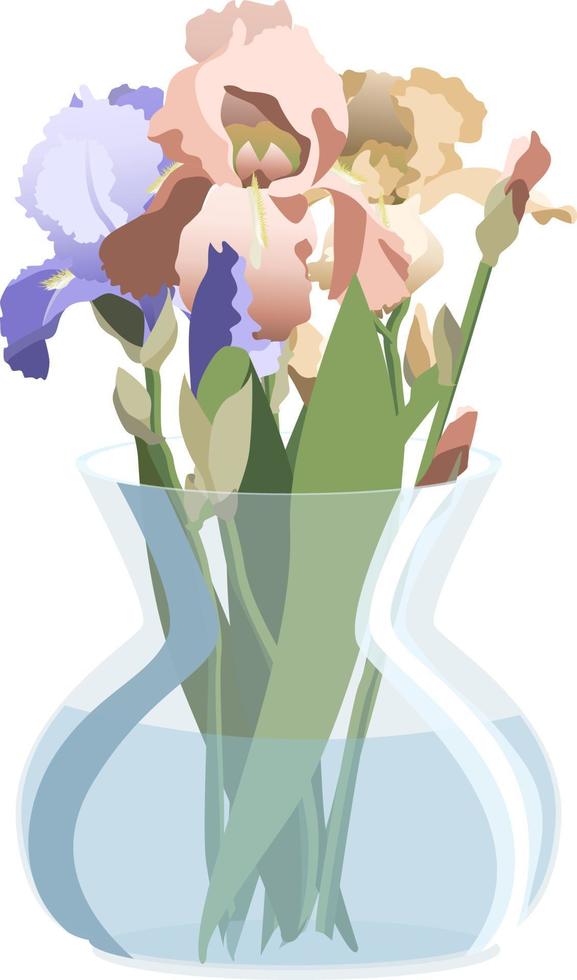 Bunch of blue, pink and yellow irises in round glass vase. Isolated on white background vector