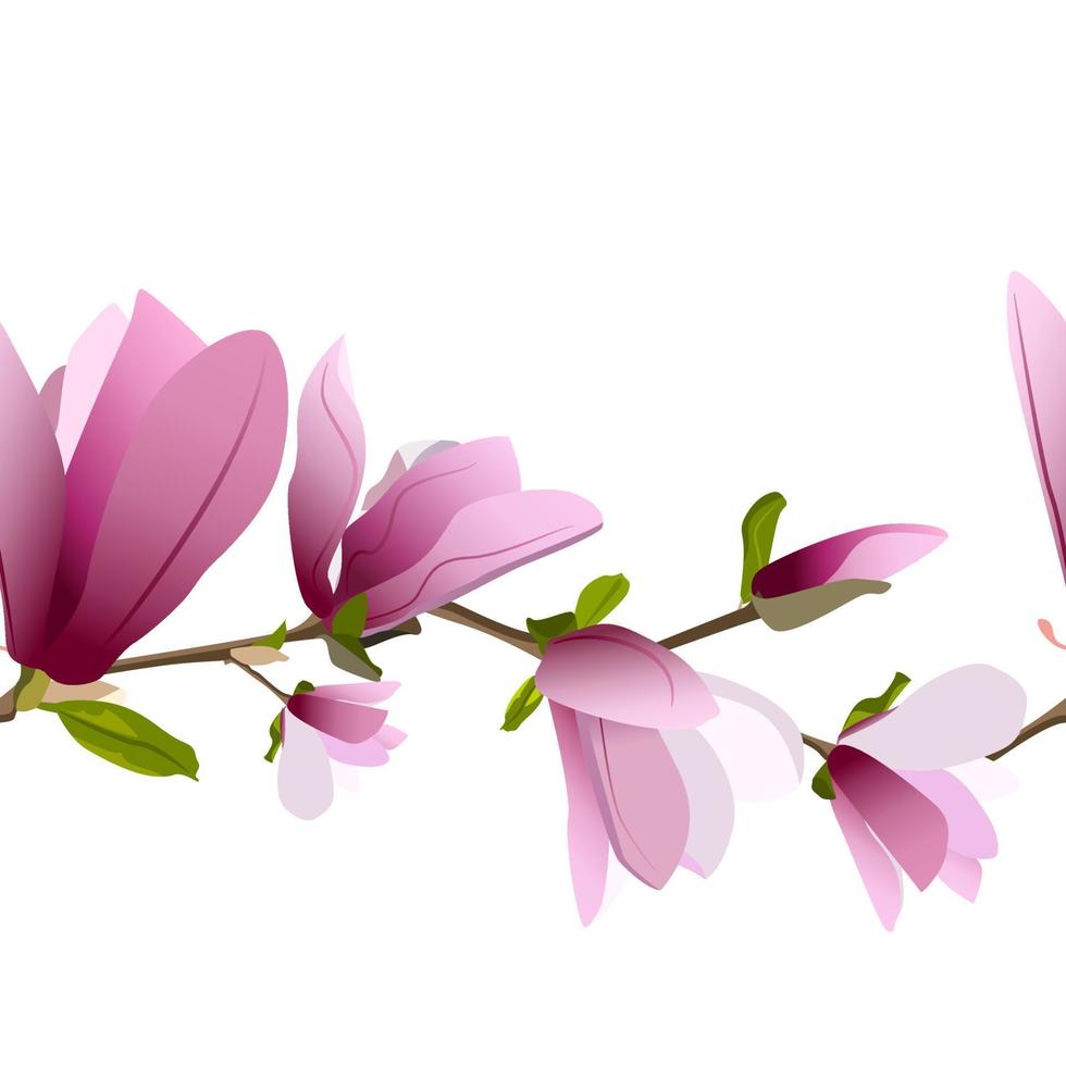 Seamless border design with blooming purple magnolias on white background vector