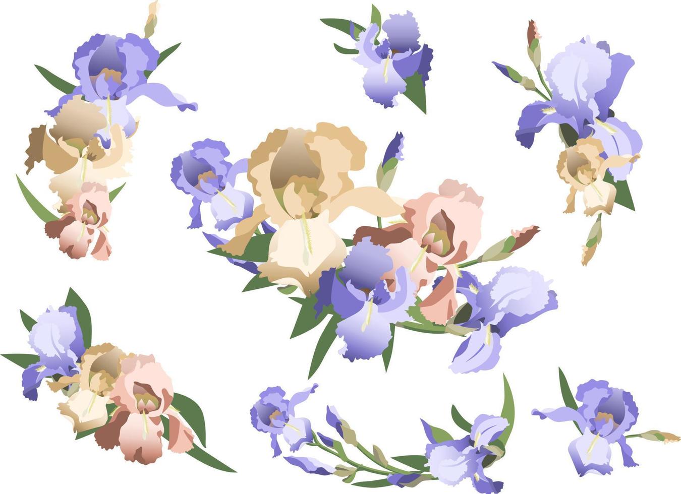 conjunto de arreglos florales de iris, aislado sobre fondo blanco. elementos de diseño para invitaciones y tarjetas de felicitación. vector