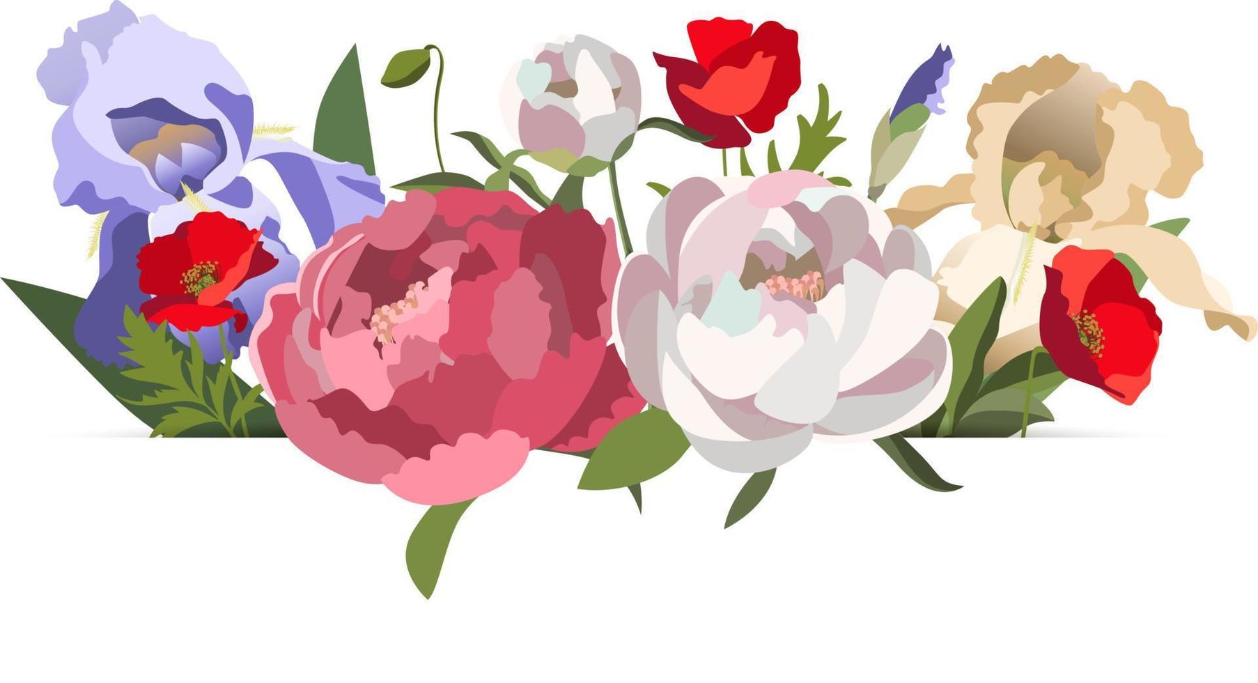 Vector bouquet of pink, white peonies, yellow iris flowers and red poppies behind a banner, isolated on white background