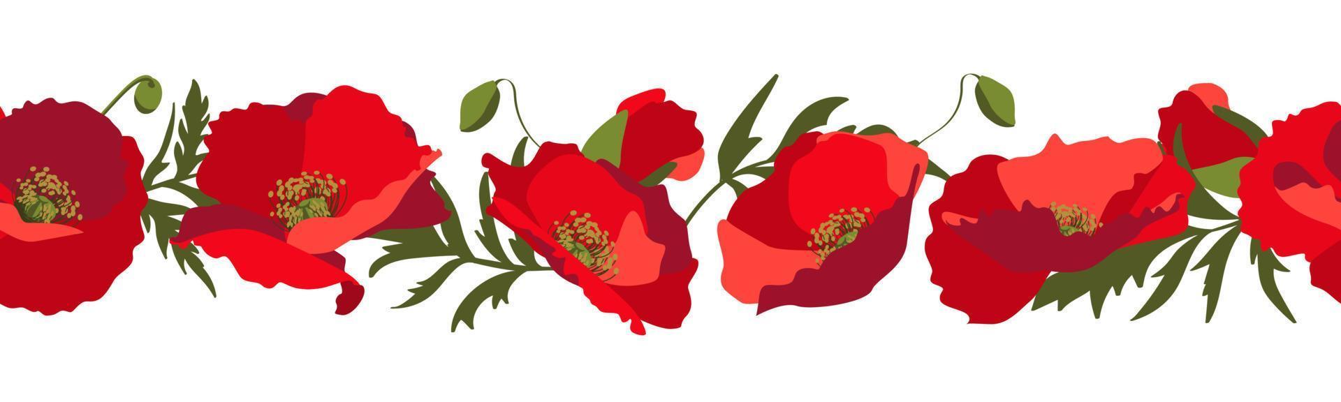 borde sin costura horizontal vectorial con flores de amapola rojas sobre un fondo blanco vector