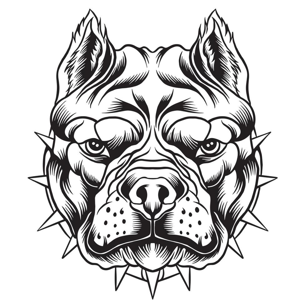 Pitbull head vector design illustration