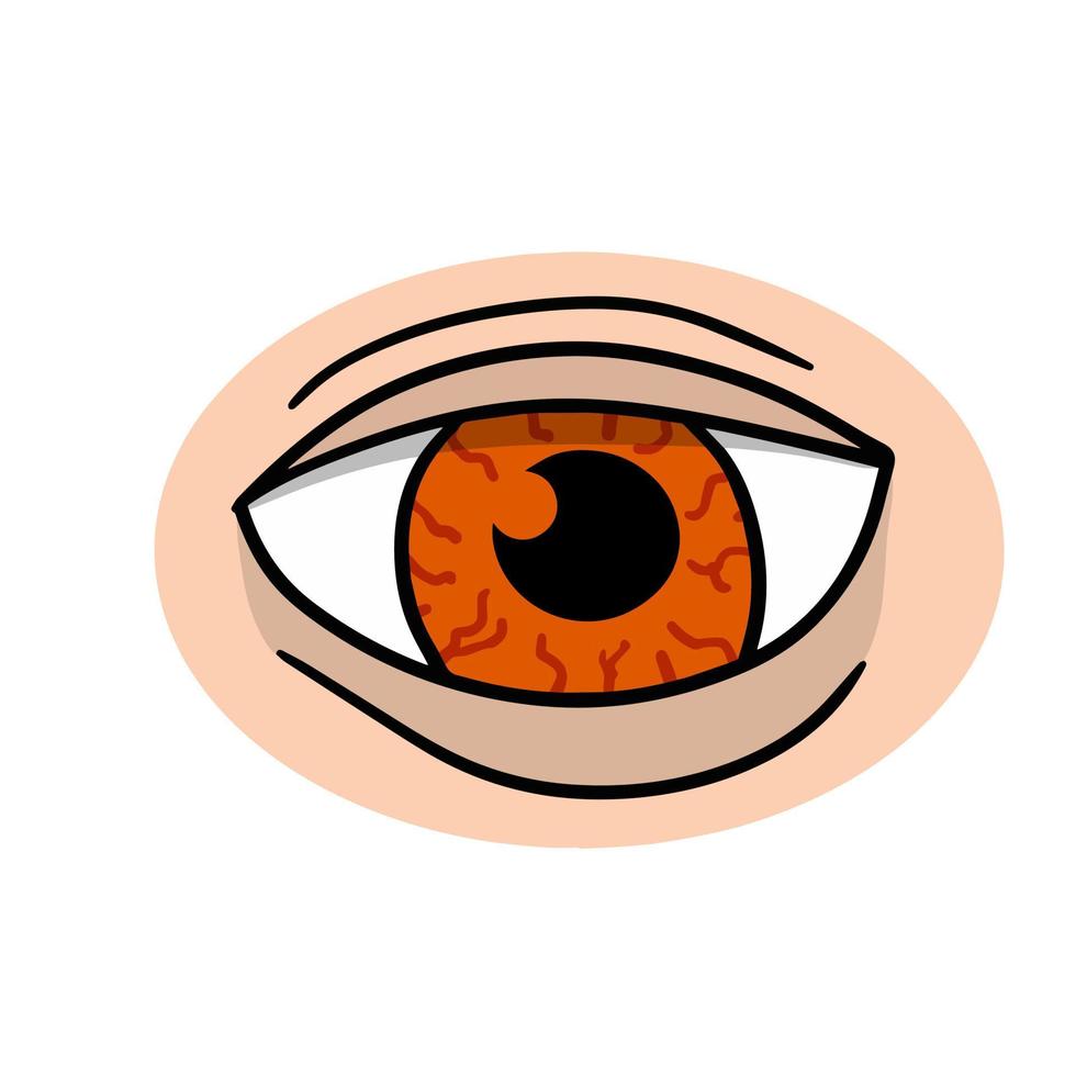 ojo. órgano humano de la visión. mirada cansada y mirada dolorosa. párpado y globo ocular rojo con venas. ver y observar. concepto de insomnio. ilustración de dibujos animados aislado en blanco vector