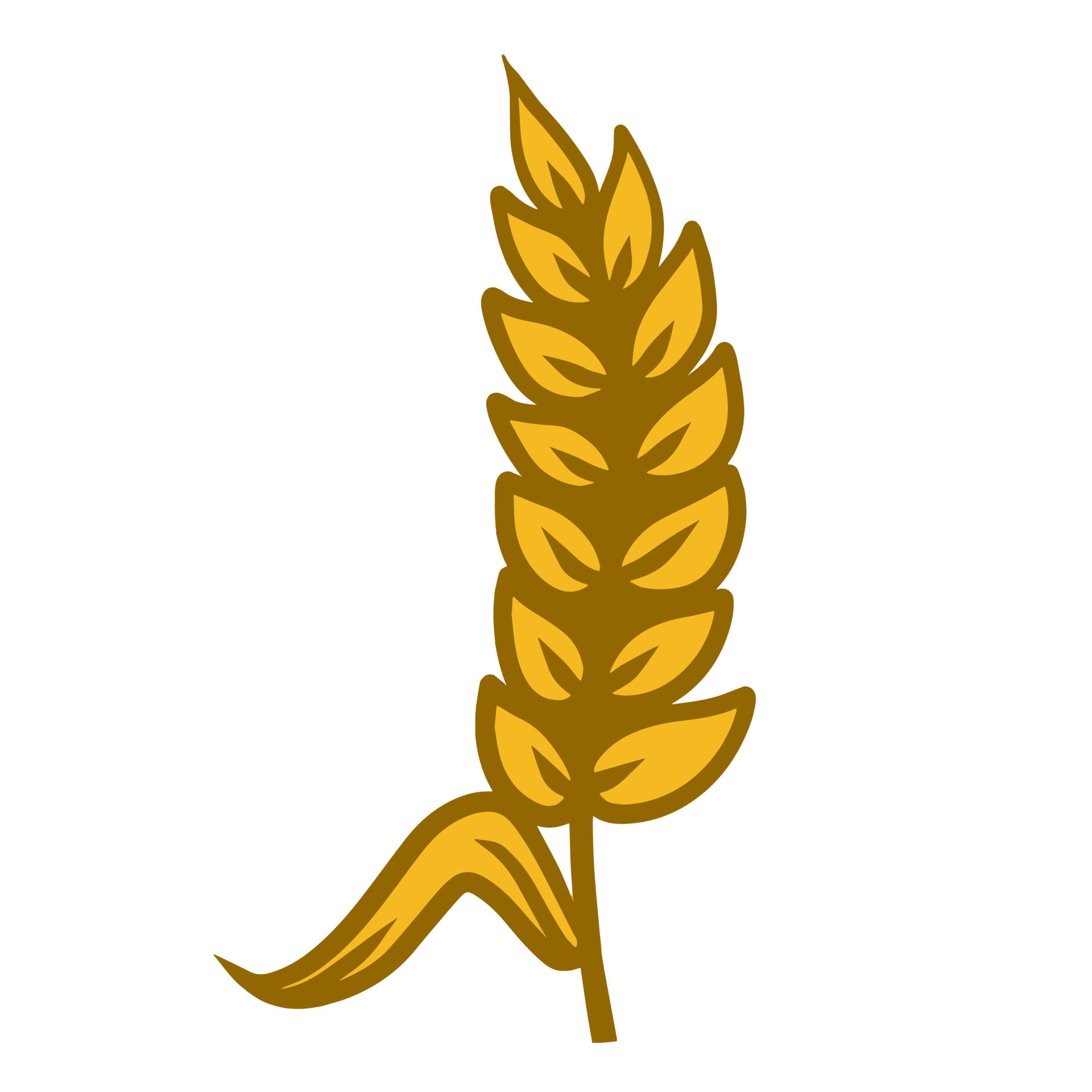 Ear of wheat. Golden stem of plant. Grains and farm products. Harvest.  Seeding and yield. Cartoon illustration 13451087 Vector Art at Vecteezy