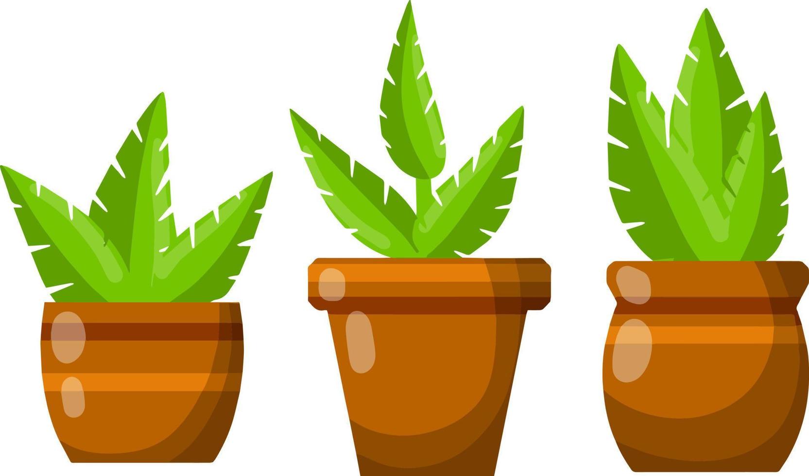Pot of a house plant. Set of Brown flowerpot. Green leaves and gardening. Decoration for home. Cartoon flat illustration vector