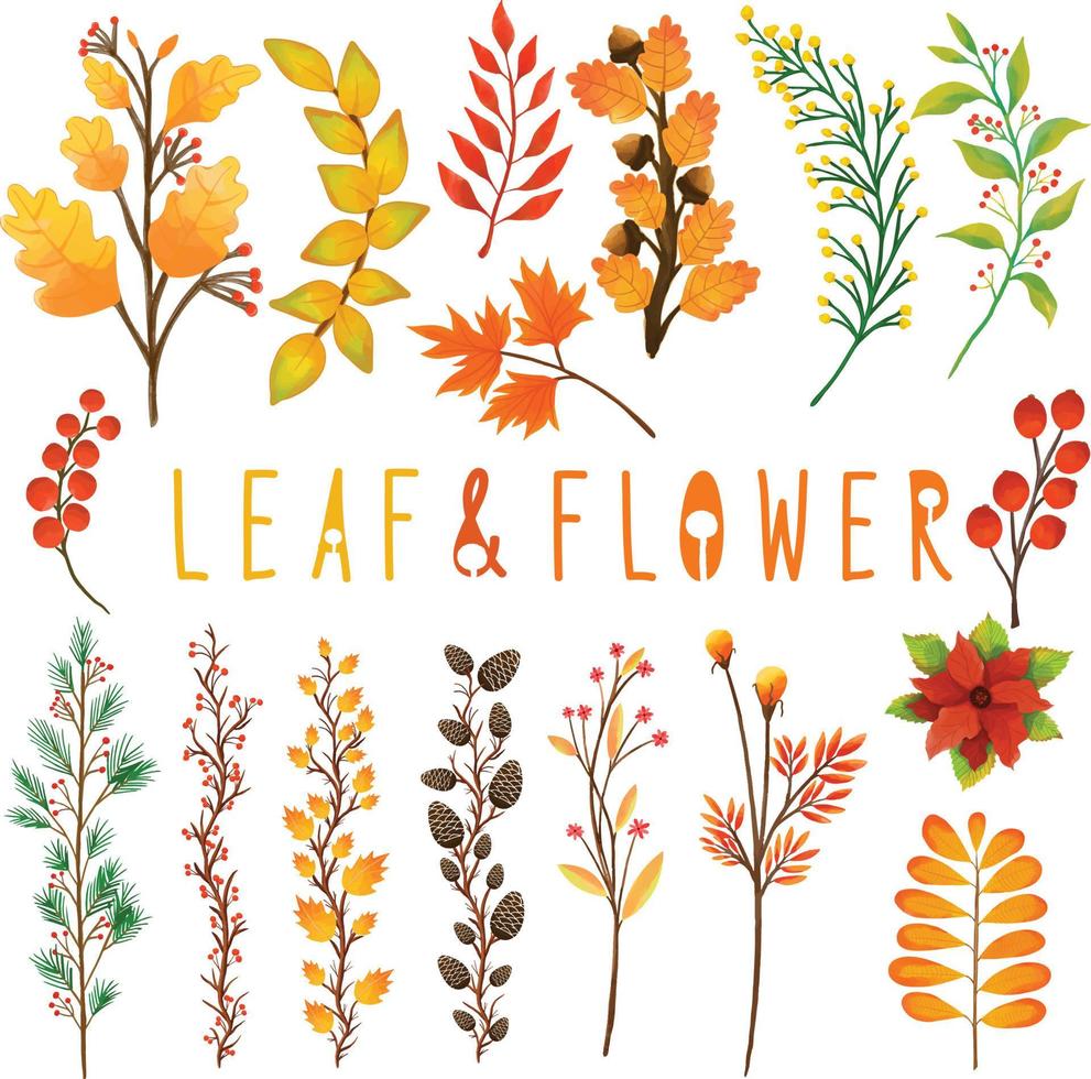 Set of watercolor painted Leaf, Autumn leaves clipart. Hand drawn isolated on white background vector