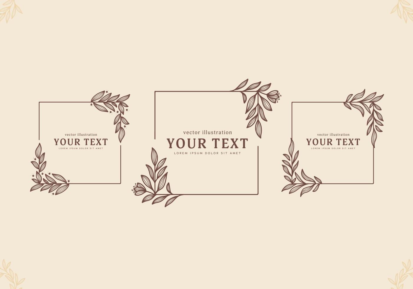 set of outline floral flower leaf bouquet square border frame decoration vector