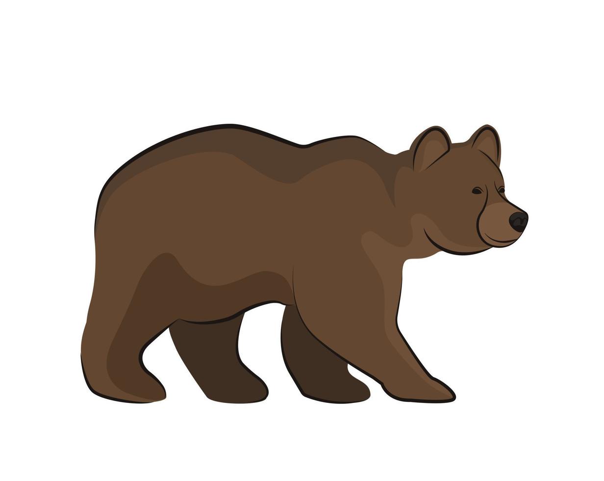 wild brown grizzly bear. vector flat illustration isolated on white background
