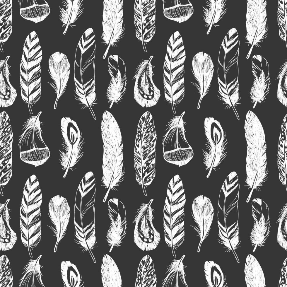 Feathers seamless pattern. vector