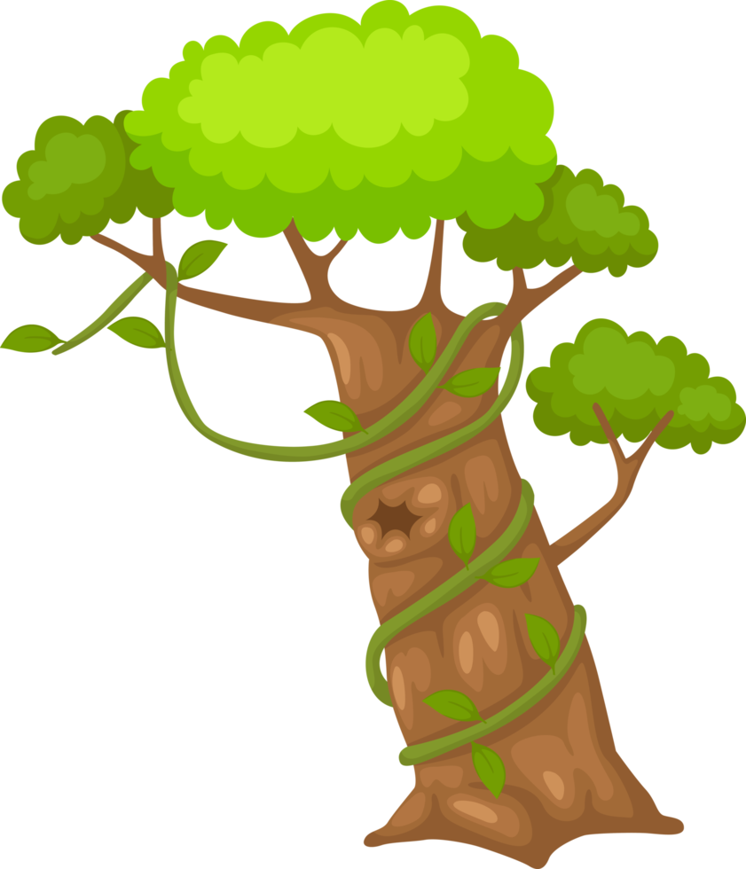 illustration of tree png