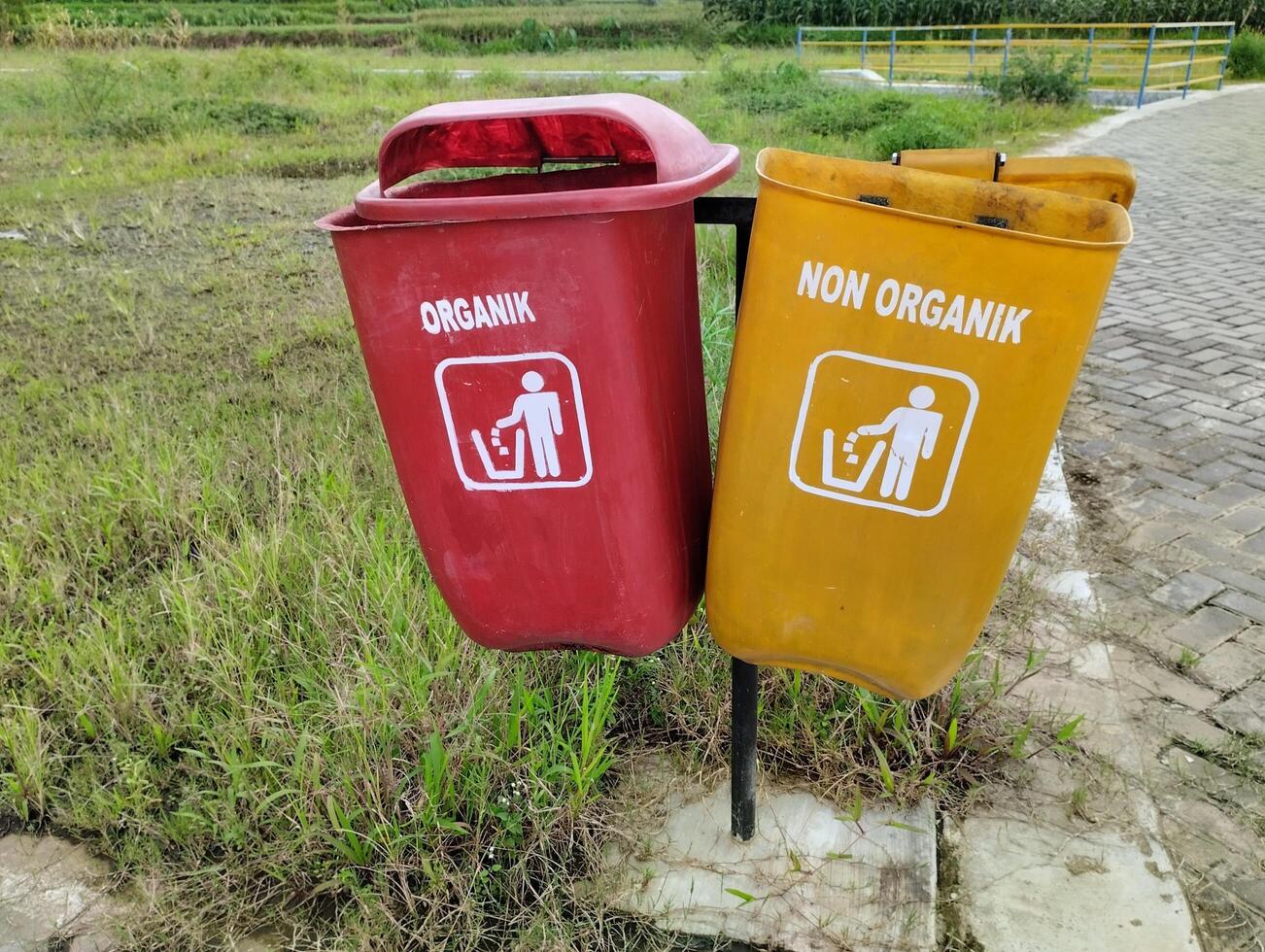 Throw Away Trash Stock Photos, Images and Backgrounds for Free Download